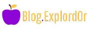 Blog.Explord0r